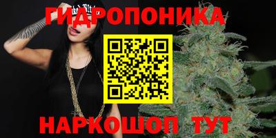 гидра Мариинск