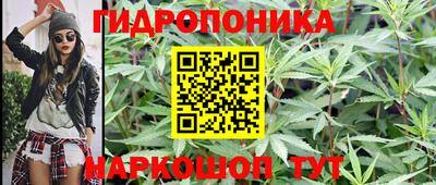 гидра Мариинск