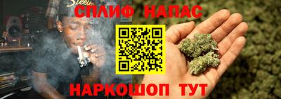 гидра Мариинск