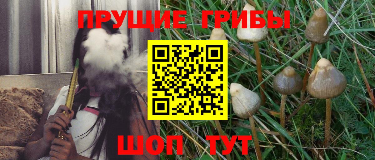 Псилоцибиновые грибы MAGIC MUSHROOMS Дедовск